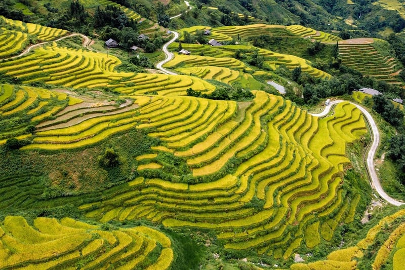 Top Food Destinations
